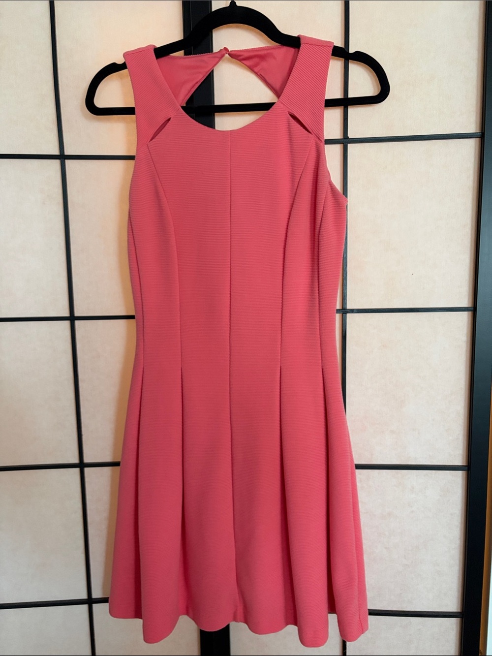 Elle Coral Pink Sleeveless A-Line Mini Dress